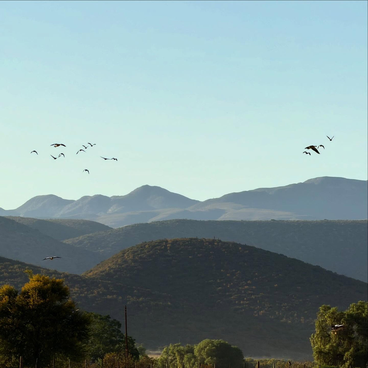 Where mountain and Karoo meet