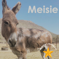 Meisie