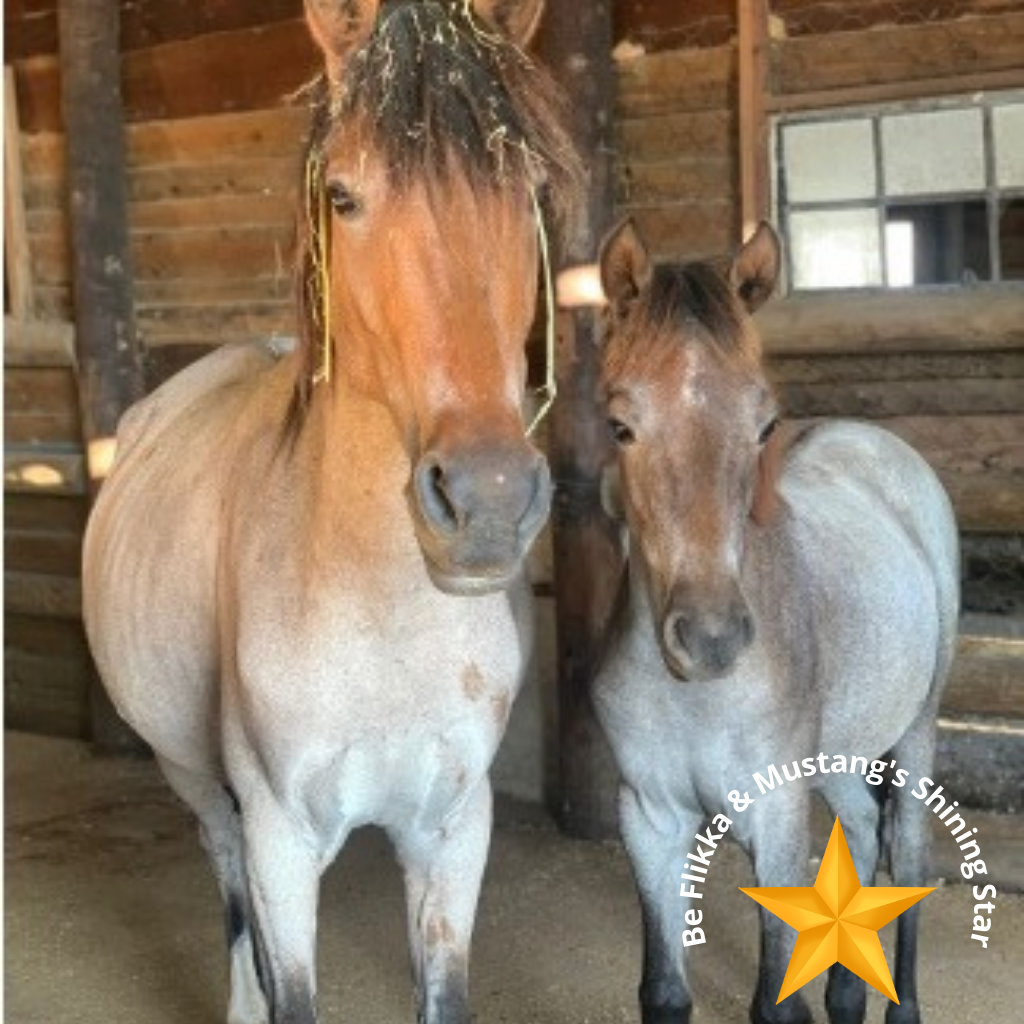 Flicka and Mustang Sally