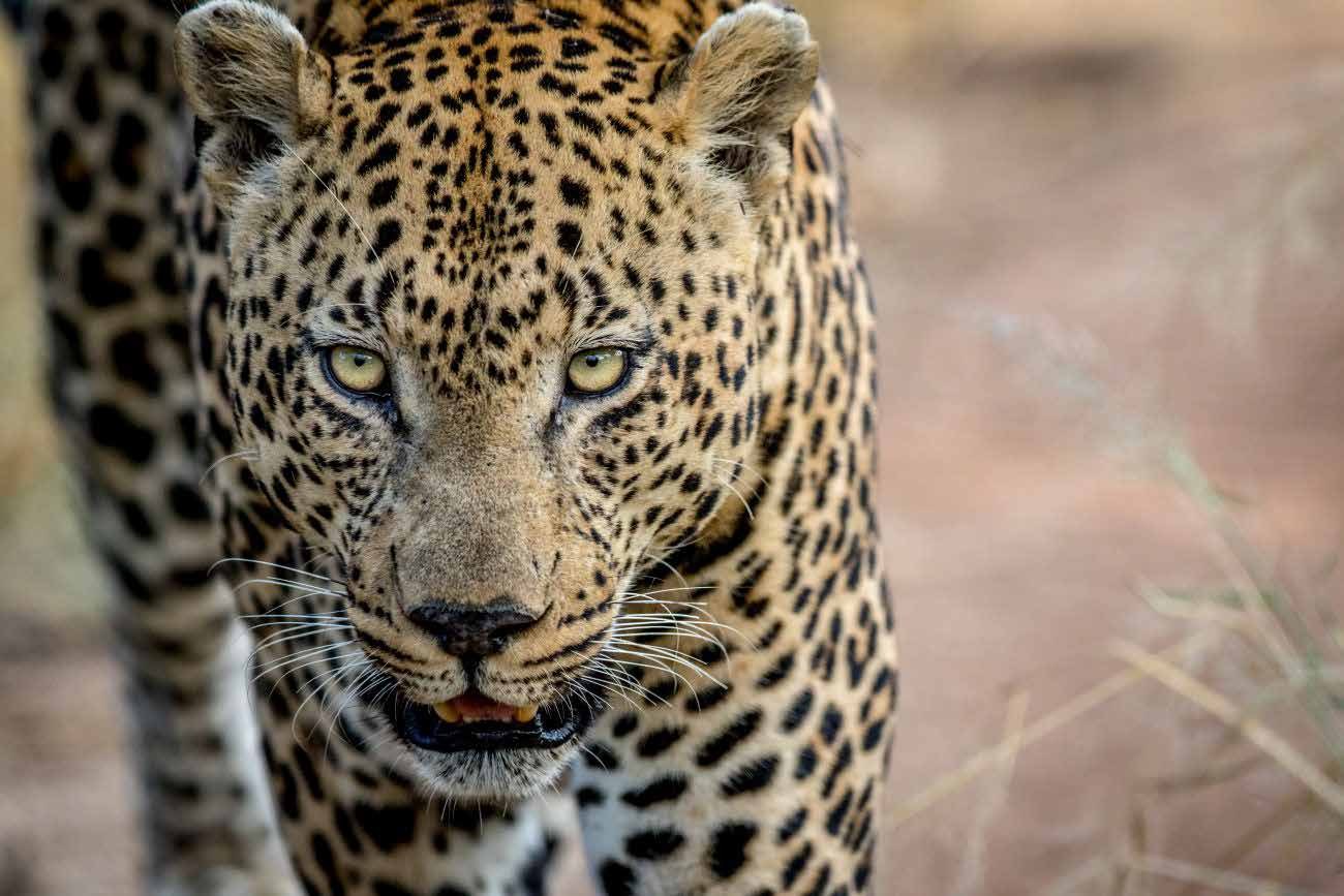 meiringspoort private nature reserve