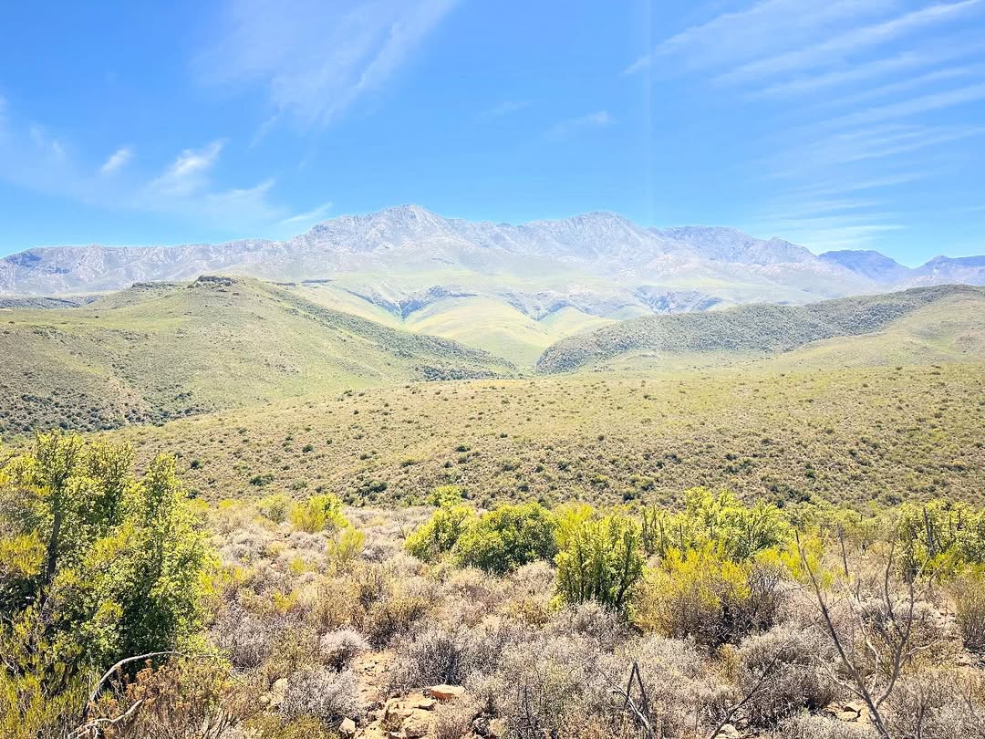 Karoo Donkey Sanctuary