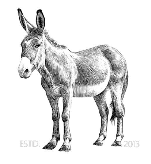 Karoo Donkey Sanctuary