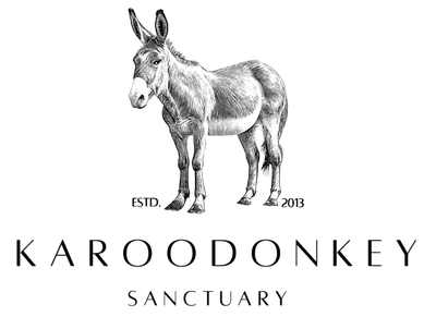 Karoo Donkey Sanctuary