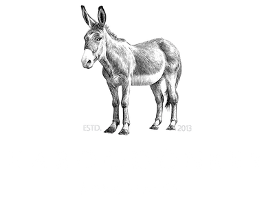 Karoo Donkey Sanctuary
