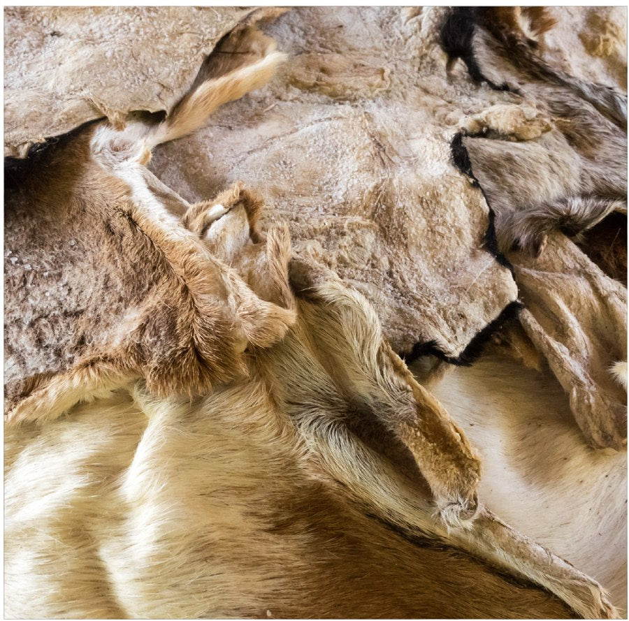 The Donkey Skin Trade