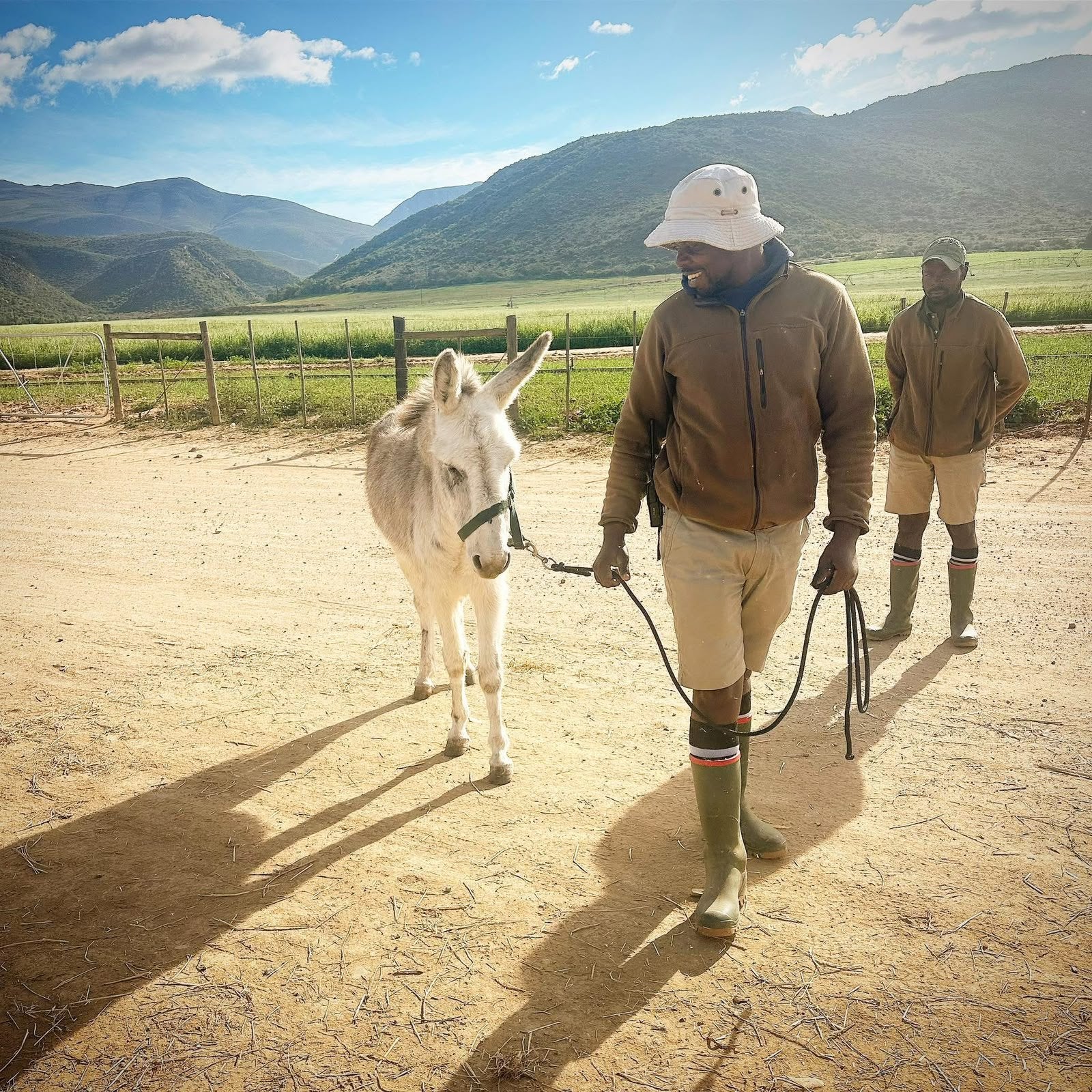 Come and experience the Karoo Donkey Sanctuary
